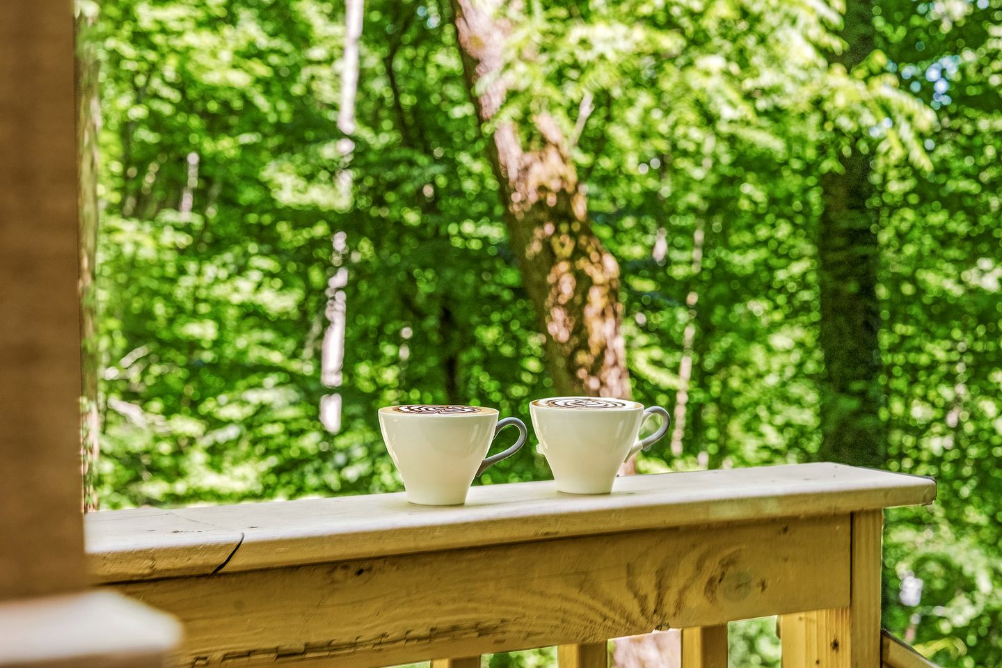 Tranquil Cabin Surrounded by Nature Perfect for Families with Hot-Tub in Sevierville, Tennessee