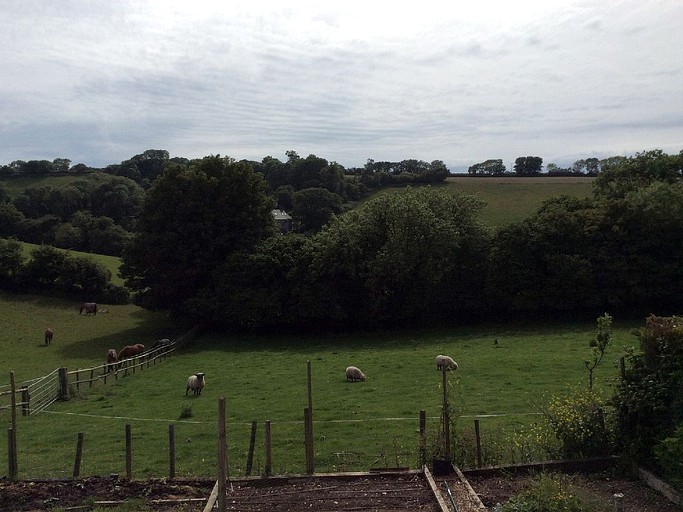 Log Cabins (Axminster, England, United Kingdom)