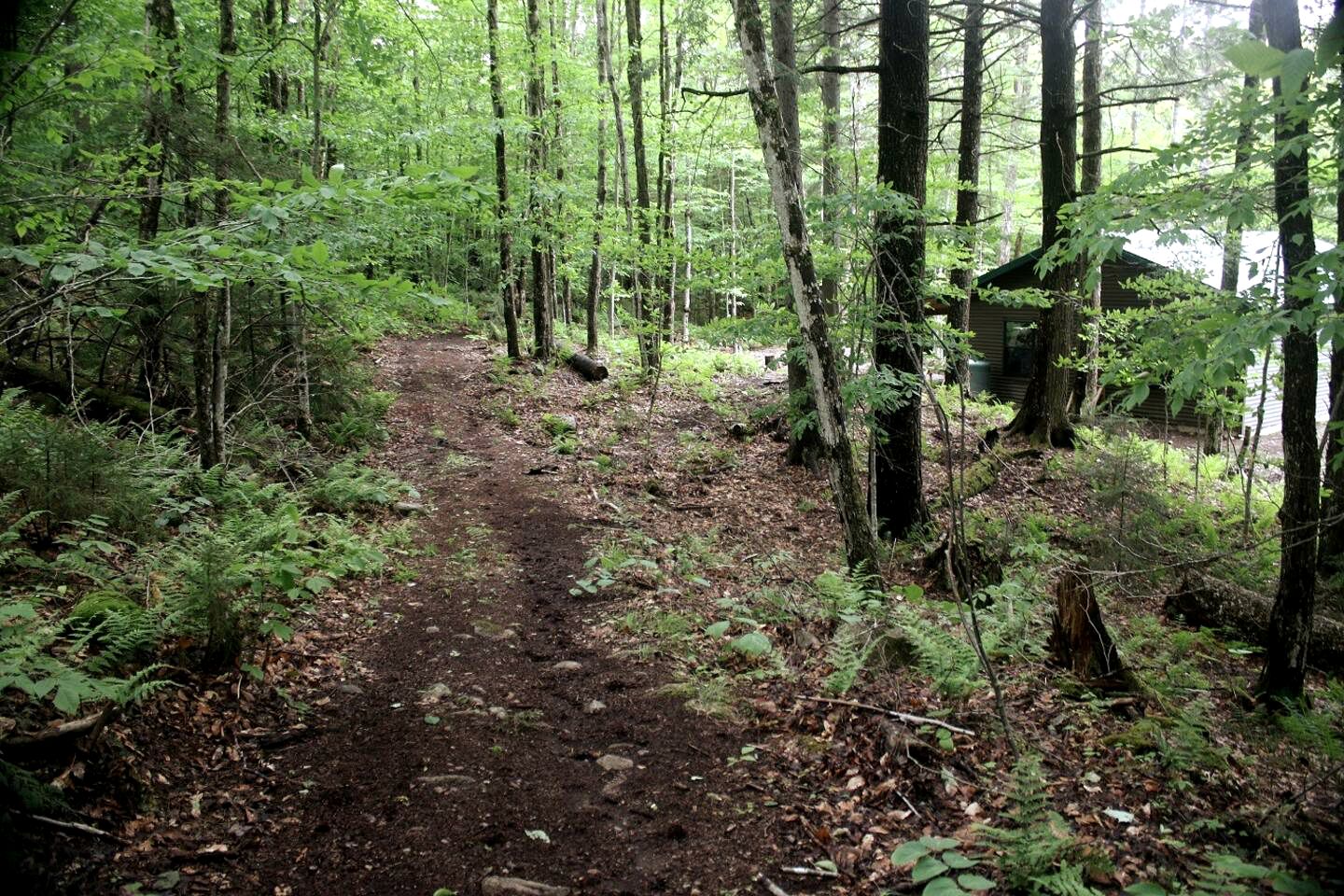 Tranquil Glamping Mountain Getaway: Beautiful Cabin by a Lake in the Adirondack Park in Eagle Bay, New York