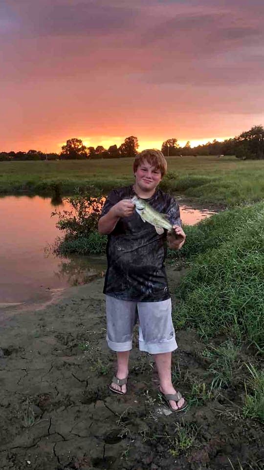 Tranquil Lakefront Cabin Surrounded by Woods, Wildlife & Scenic Trails in  Williford, Arkansas