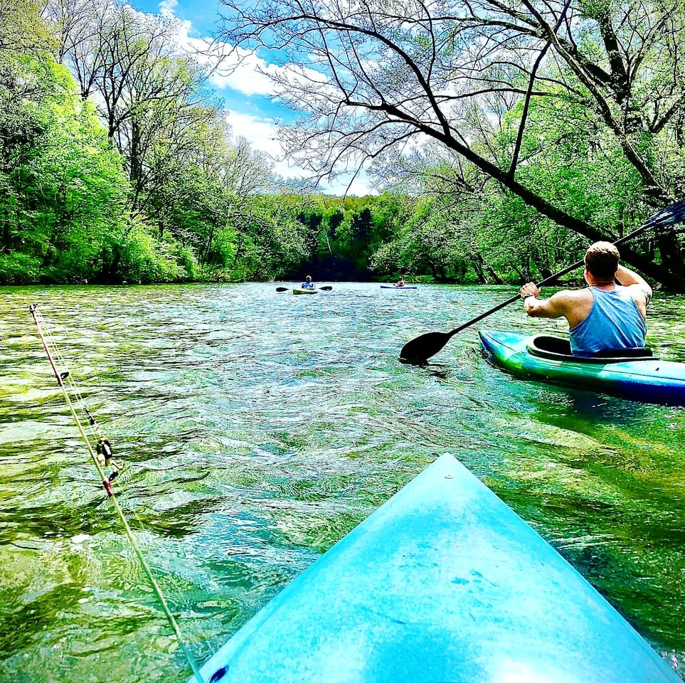 Tranquil Lakefront Cabin Surrounded by Woods, Wildlife & Scenic Trails in  Williford, Arkansas