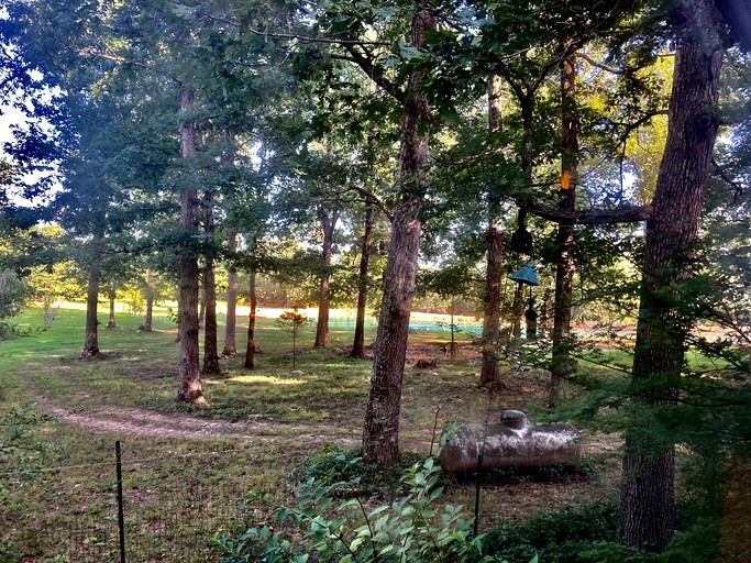 Cabins (United States of America, Williford, Arkansas)