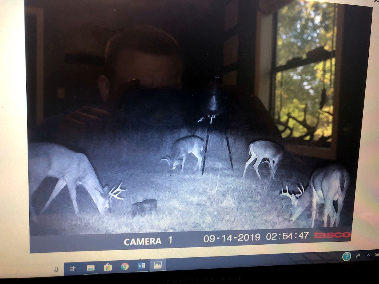 Tranquil Lakefront Cabin Surrounded by Woods, Wildlife & Scenic Trails in  Williford, Arkansas