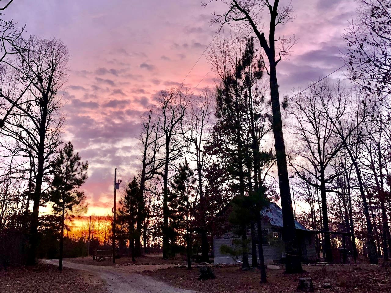Tranquil Lakefront Cabin Surrounded by Woods, Wildlife & Scenic Trails in  Williford, Arkansas