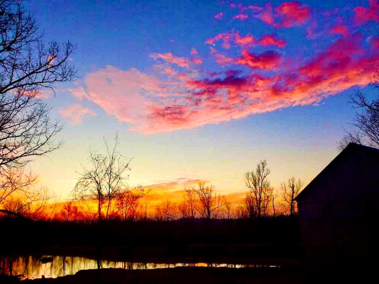 Tranquil Lakefront Cabin Surrounded by Woods, Wildlife & Scenic Trails in  Williford, Arkansas