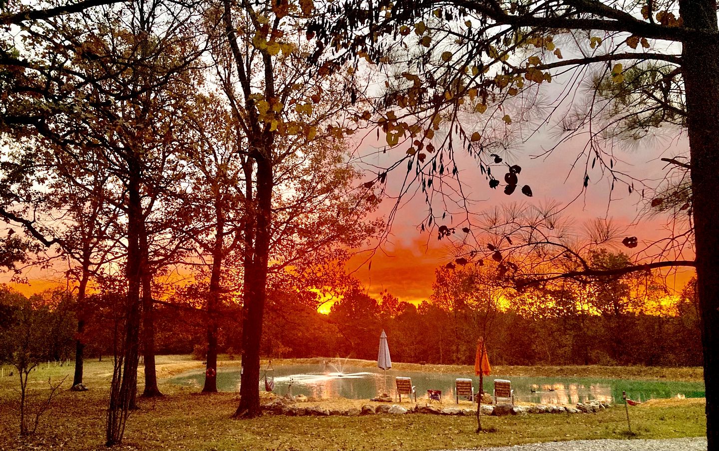 Tranquil Lakefront Cabin Surrounded by Woods, Wildlife & Scenic Trails in  Williford, Arkansas