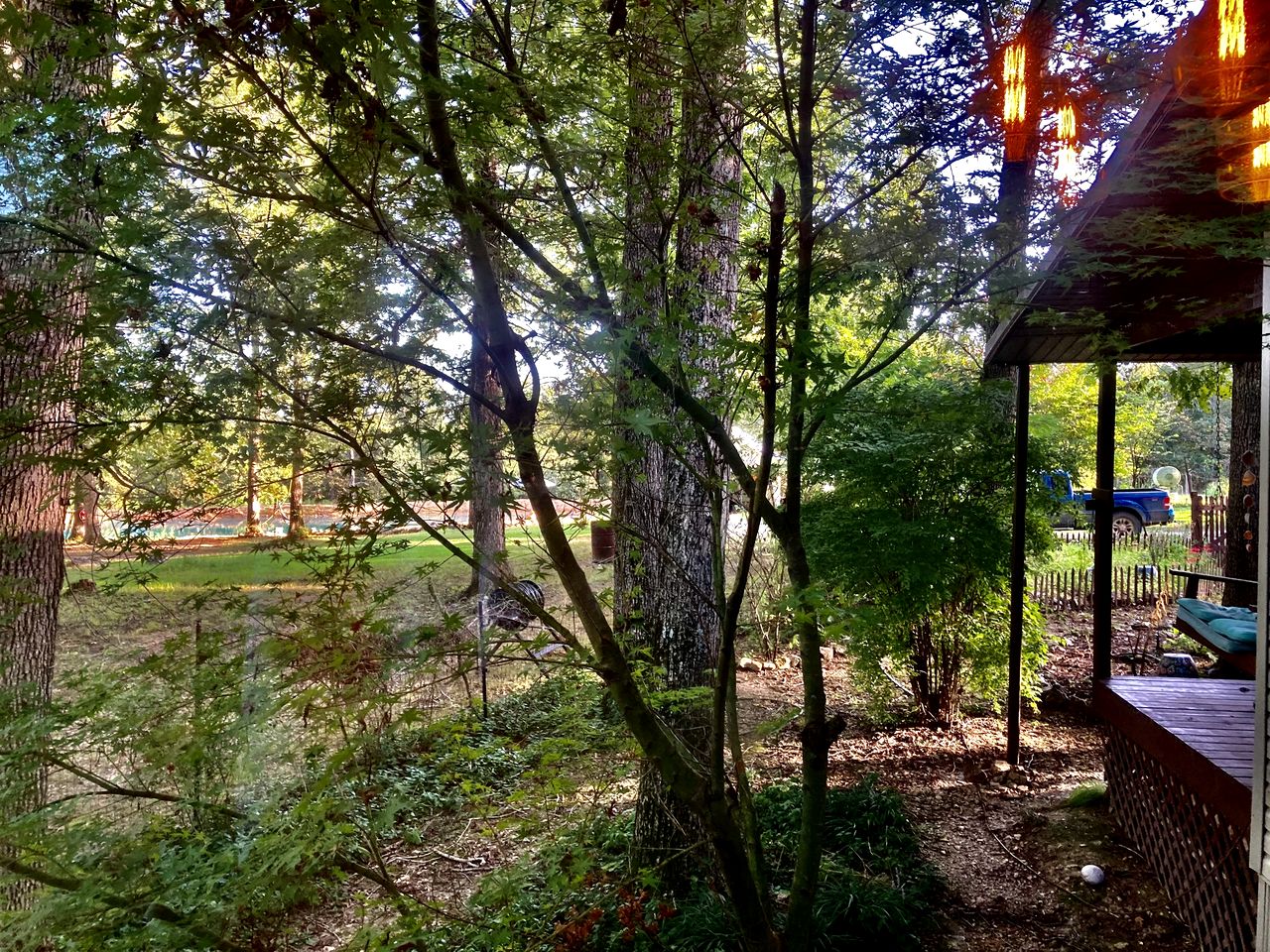 Secluded Lakefront House Nestled in the Woods for an Unforgettable Adventure in Nature in Williford, Arkansas