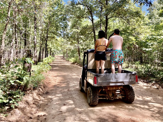 Cabins (United States of America, Williford, Arkansas)