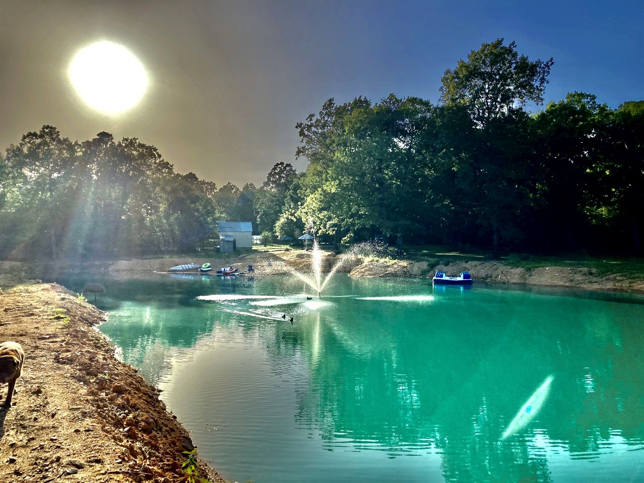 Secluded Lakefront House Nestled in the Woods for an Unforgettable Adventure in Nature in Williford, Arkansas