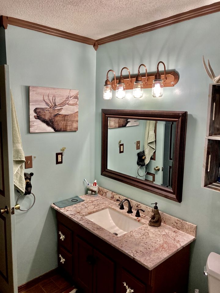 Secluded Lakefront House Nestled in the Woods for an Unforgettable Adventure in Nature in Williford, Arkansas