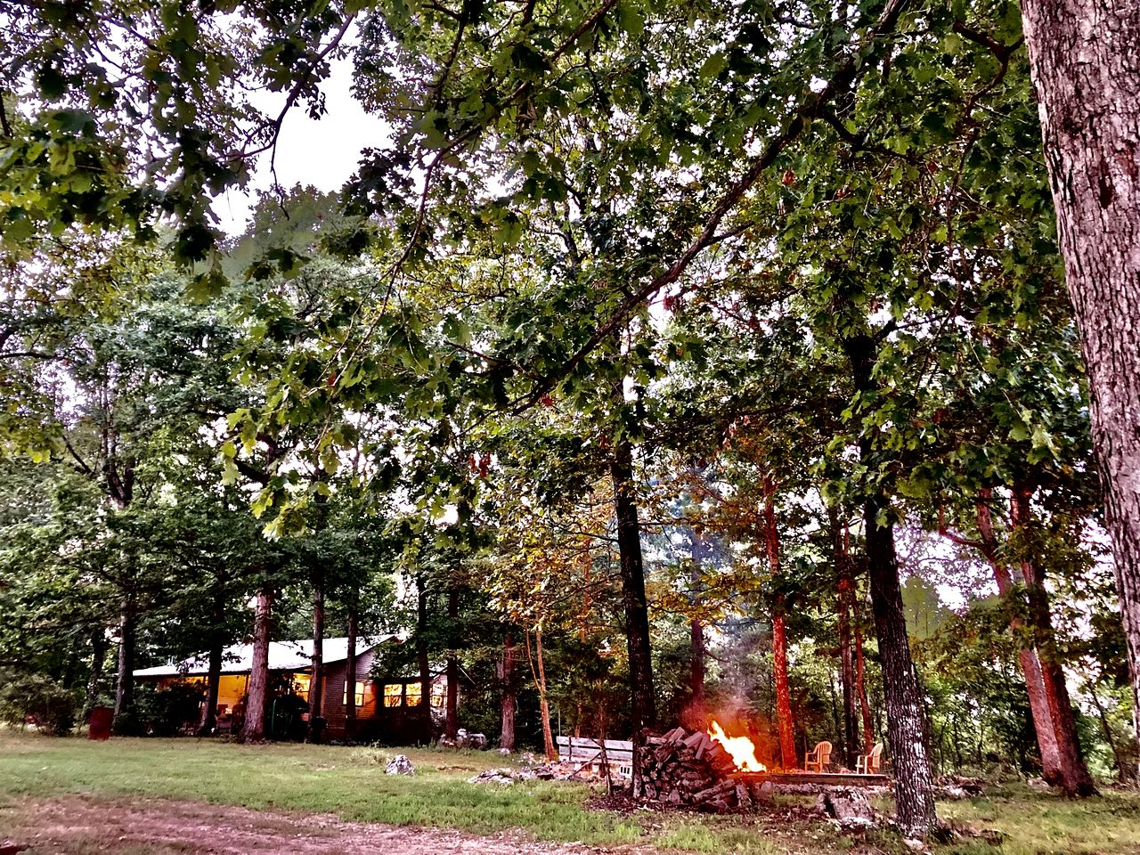 Secluded Lakefront House Nestled in the Woods for an Unforgettable Adventure in Nature in Williford, Arkansas