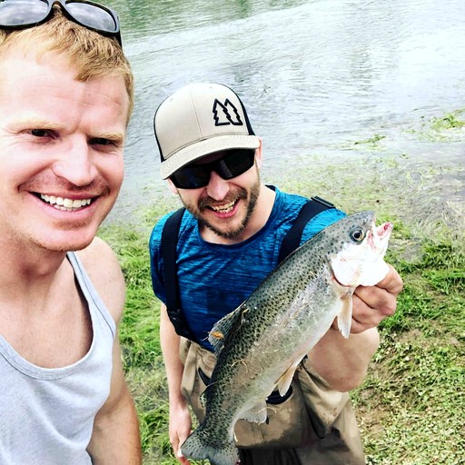 Cabins (United States of America, Williford, Arkansas)