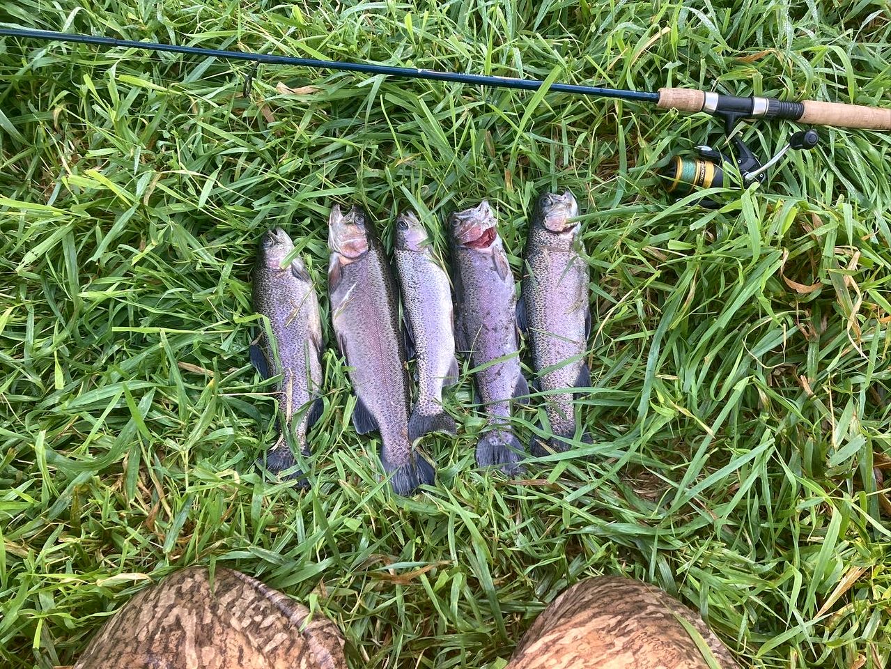 Tranquil Lakefront Cabin Surrounded by Woods, Wildlife & Scenic Trails in  Williford, Arkansas