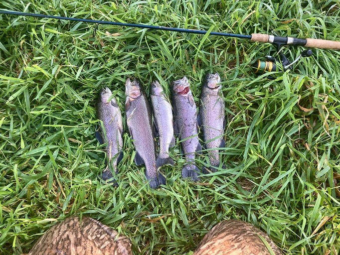 Cabins (United States of America, Williford, Arkansas)