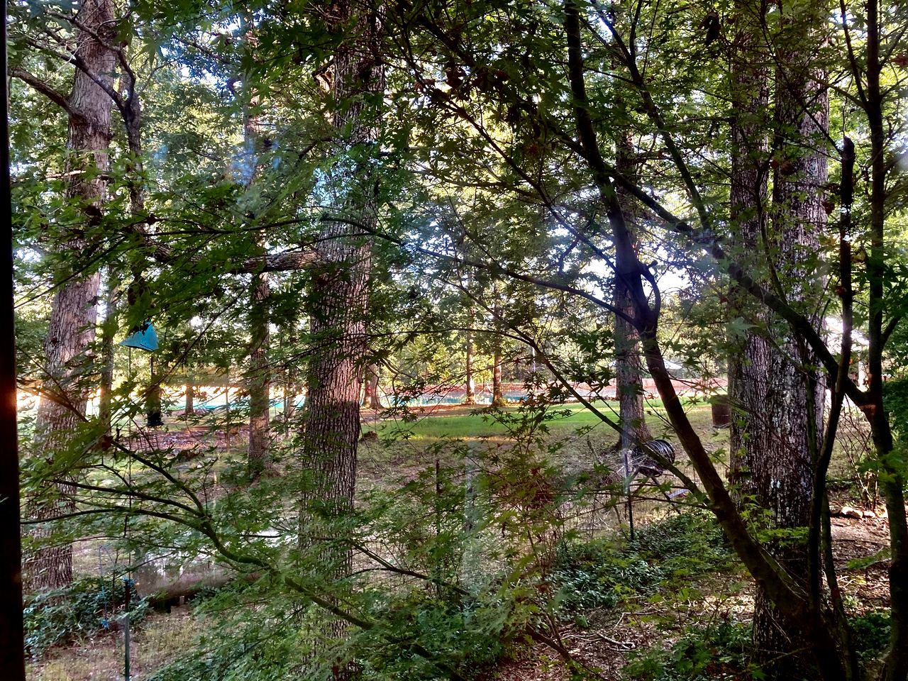 Secluded Lakefront House Nestled in the Woods for an Unforgettable Adventure in Nature in Williford, Arkansas