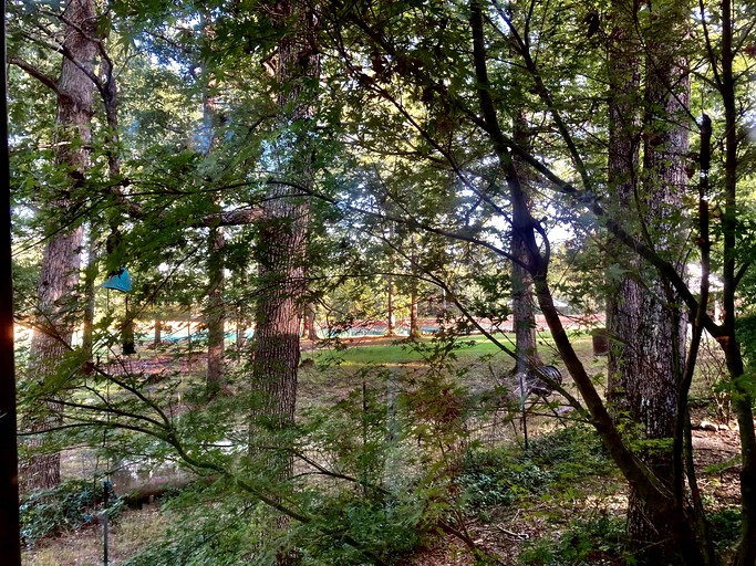 Cabins (United States of America, Williford, Arkansas)