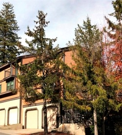 undefined photo 3