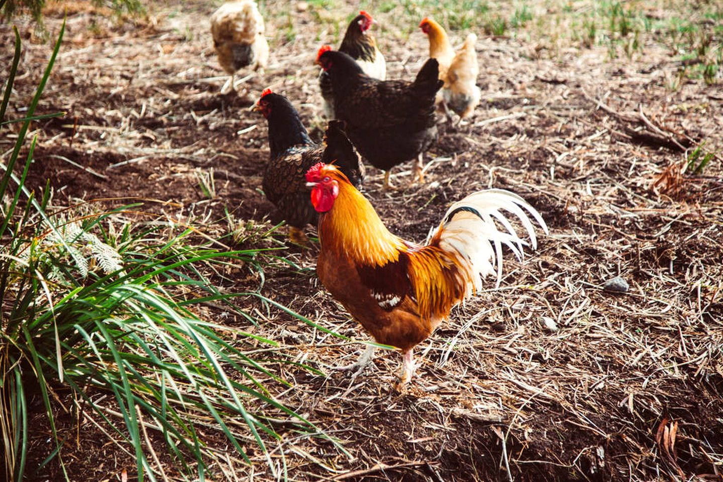 Unique Waterfront Accommodation for Yoga Retreat in Huon Valley, Tasmania
