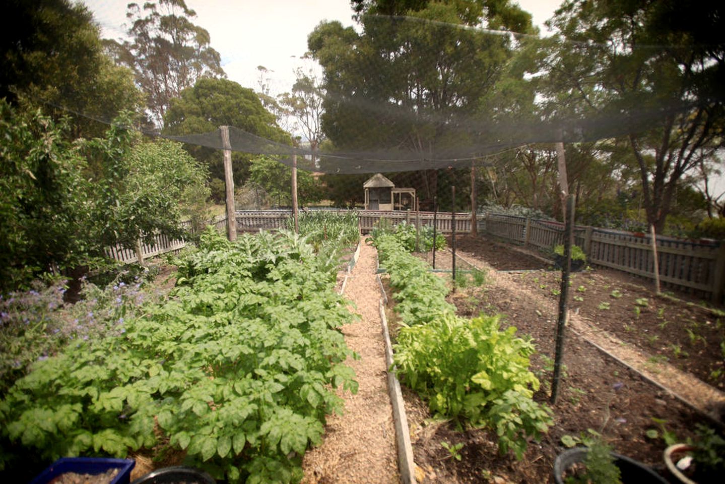 Peaceful Holiday Getaway in Pristine Location on Kangaroo Bay in Tasmania