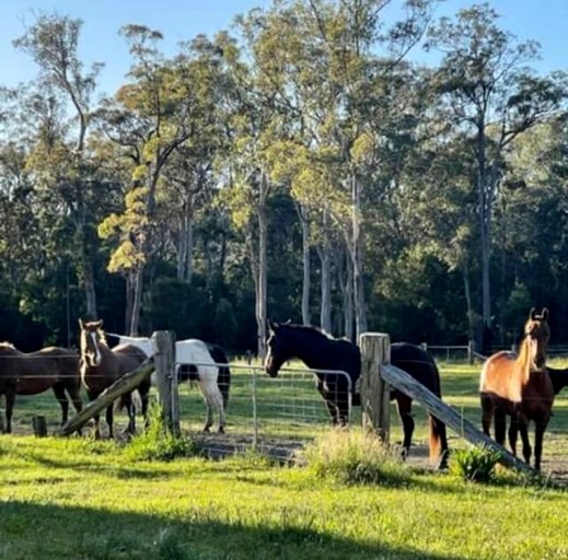 Tiny Houses (Australia, Verges Creek, New South Wales)