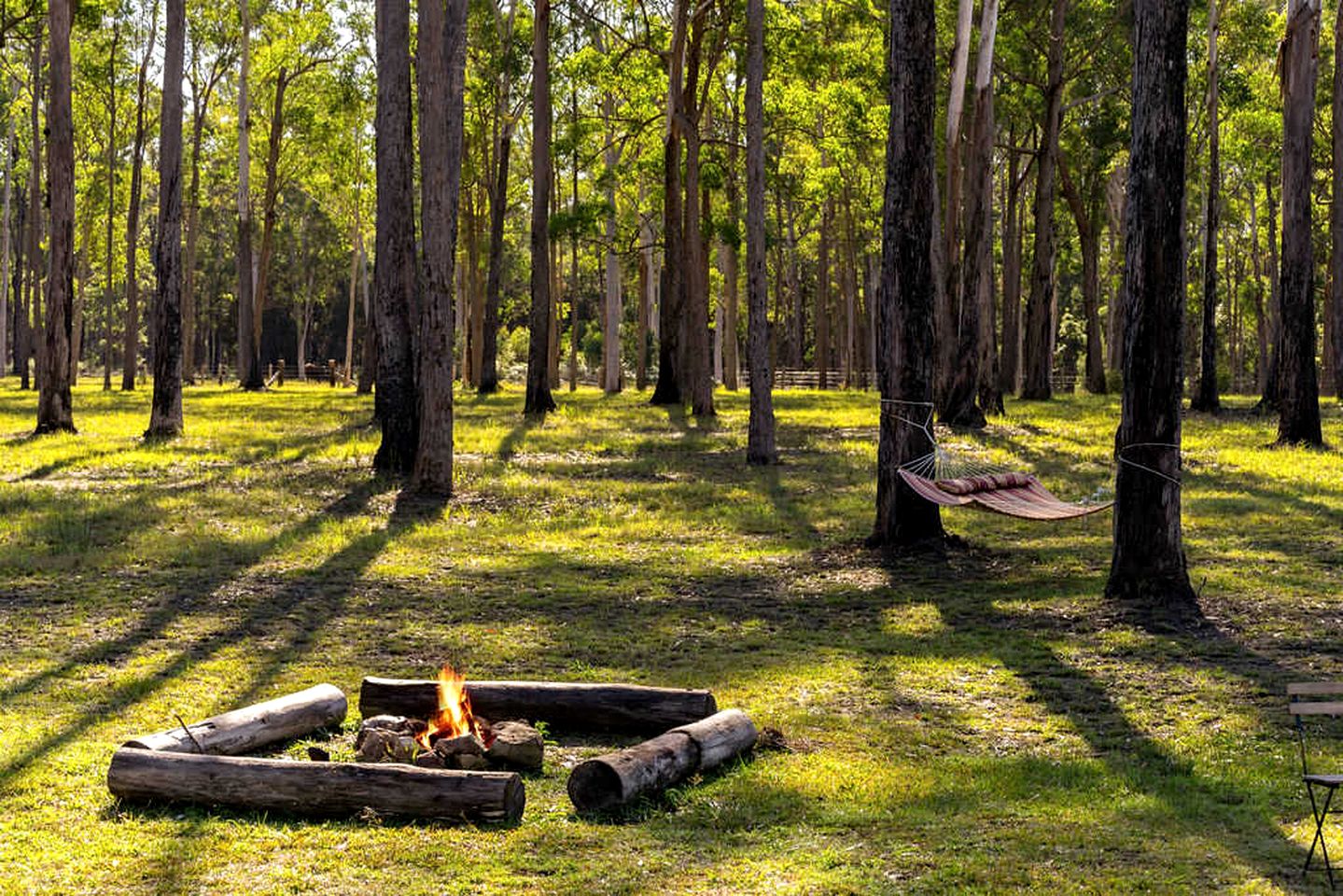 Tranquil Tiny House Cabin with Firepit and Outdoor Living Space in New South Wales, Australia