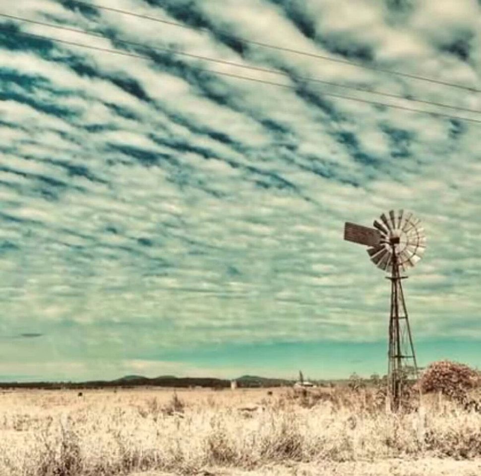 Tranquil Tiny House Cabin with Firepit and Outdoor Living Space in New South Wales, Australia