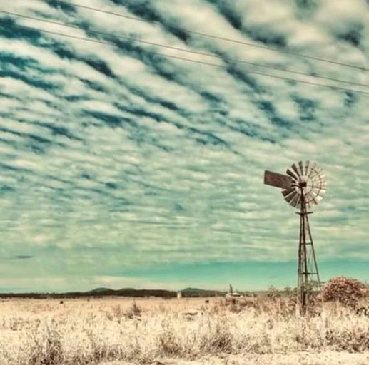 Tiny Houses (Australia, Verges Creek, New South Wales)