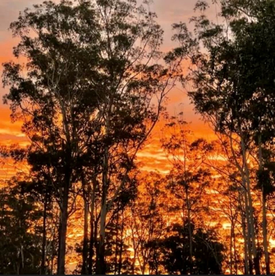 Tranquil Tiny House Cabin with Firepit and Outdoor Living Space in New South Wales, Australia