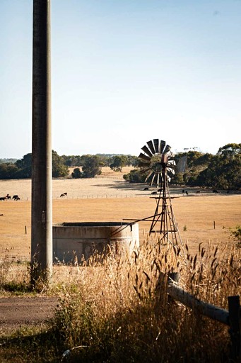 Tiny Houses (Australia, Allansford, Victoria)