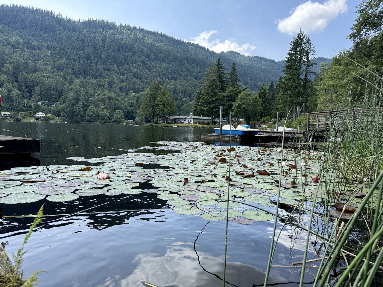 Tranquil Waterfront Cabin on Cain Lake for a Cozy Glamping Getaway in Sedro-Woolley, WA
