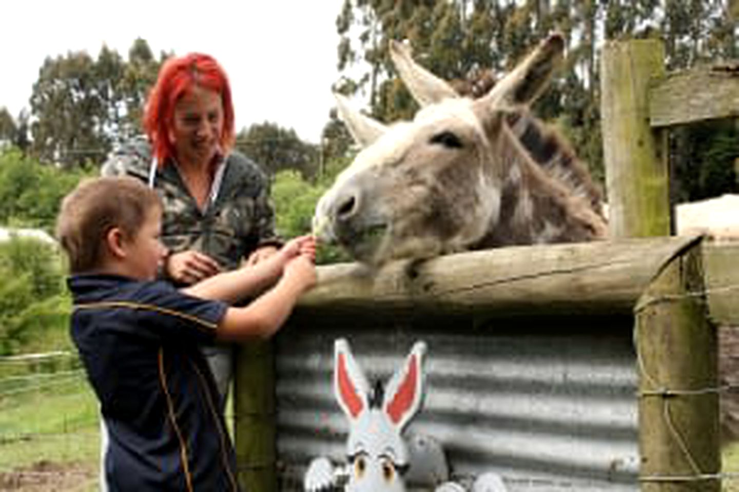 Luminous Serene Tiny House with Hot-Tub and Beautiful Wildlife in Owaka, South Island