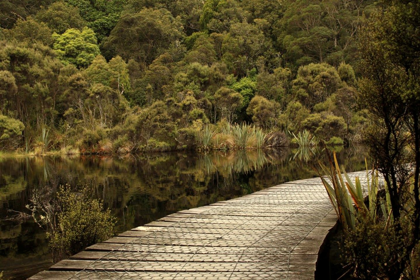 Luminous Serene Tiny House with Hot-Tub and Beautiful Wildlife in Owaka, South Island