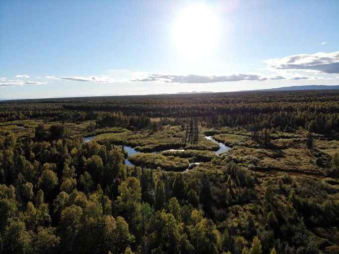 Cabins (United States of America, Cooper Landing, Alaska)