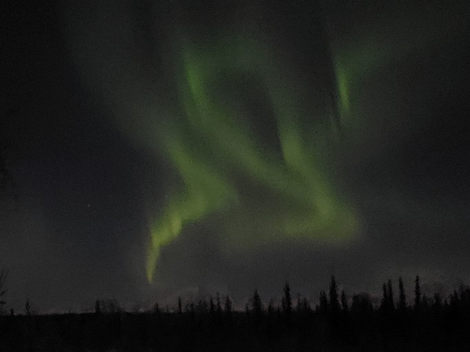 Cabins (United States of America, Cooper Landing, Alaska)