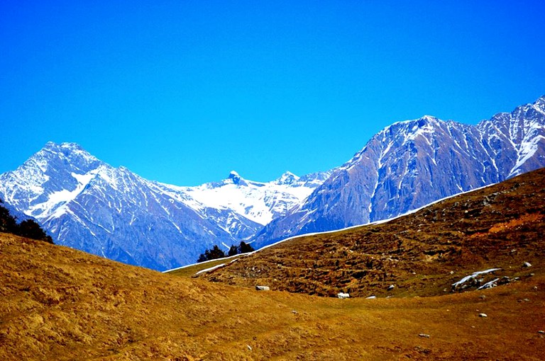 Bell Tents (Palampur, Himachal Pradesh, India)