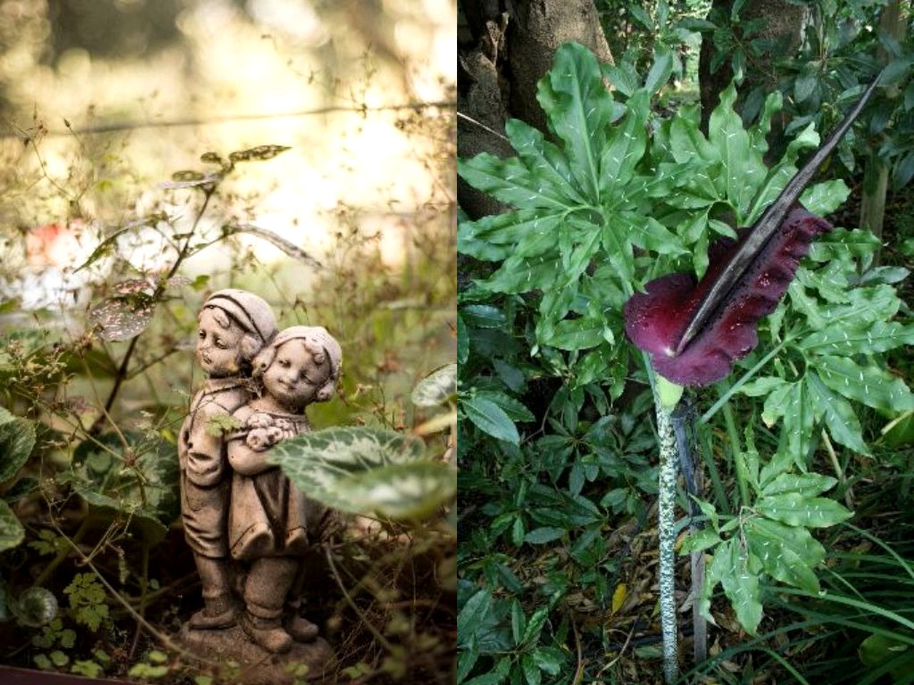 Pet-Friendly Vacation Retreat near Melbourne, Australia