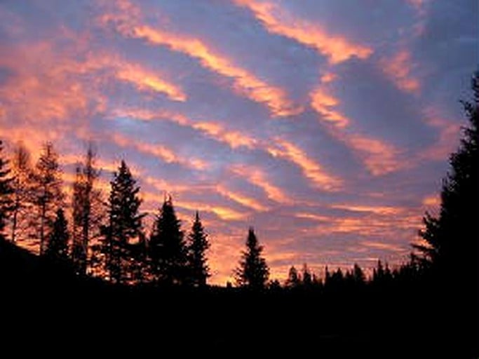 Tree Houses (Cabot, Vermont, United States)