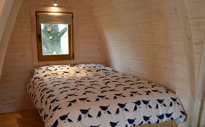 Luxurious and Cozy Pod near Falmouth in Cornwall, England - Photo 3