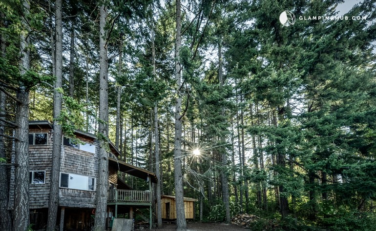 Tree House Style Cabin Nestled at the Foot of Scenic, Snow-Capped Mt. Adams, Washington