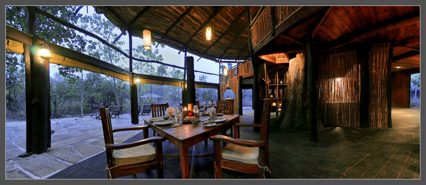 Magical Tree House Rental near the Bandhavgarh Tiger Reserve for Glamping in India