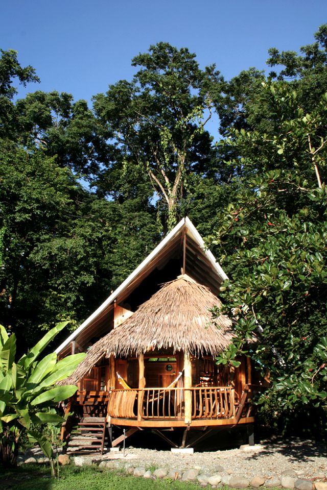 Tree House Rental in Costa Rica