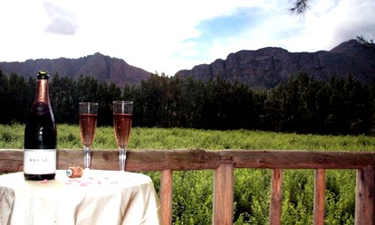 Tree House on Working Fruit Farm and Luxurious Spa in South Africa photo 3