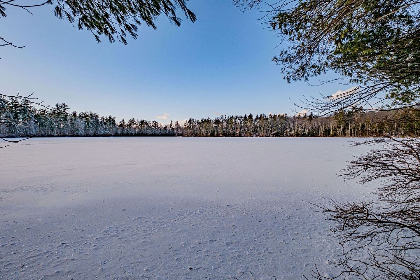 Luxury Year-round Treehouse in Sanford, ME