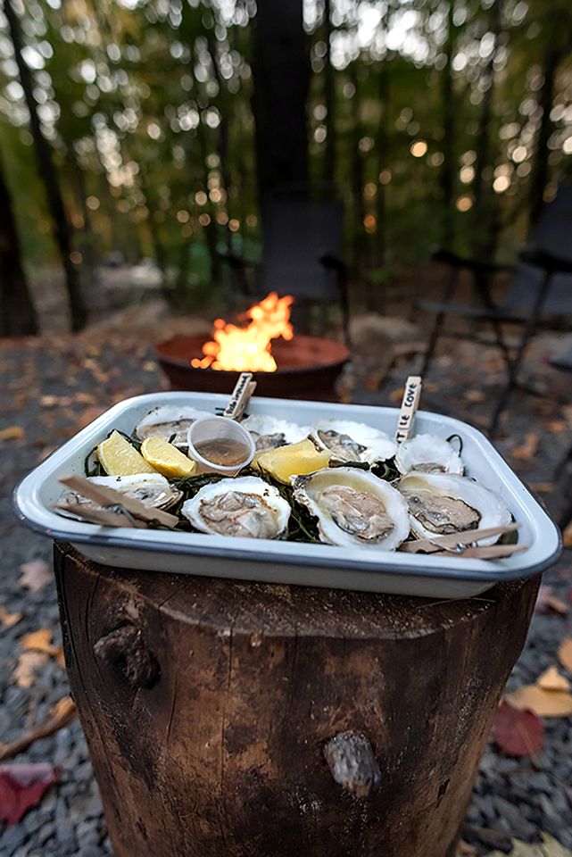 Luxury Year-round Treehouse in Sanford, ME
