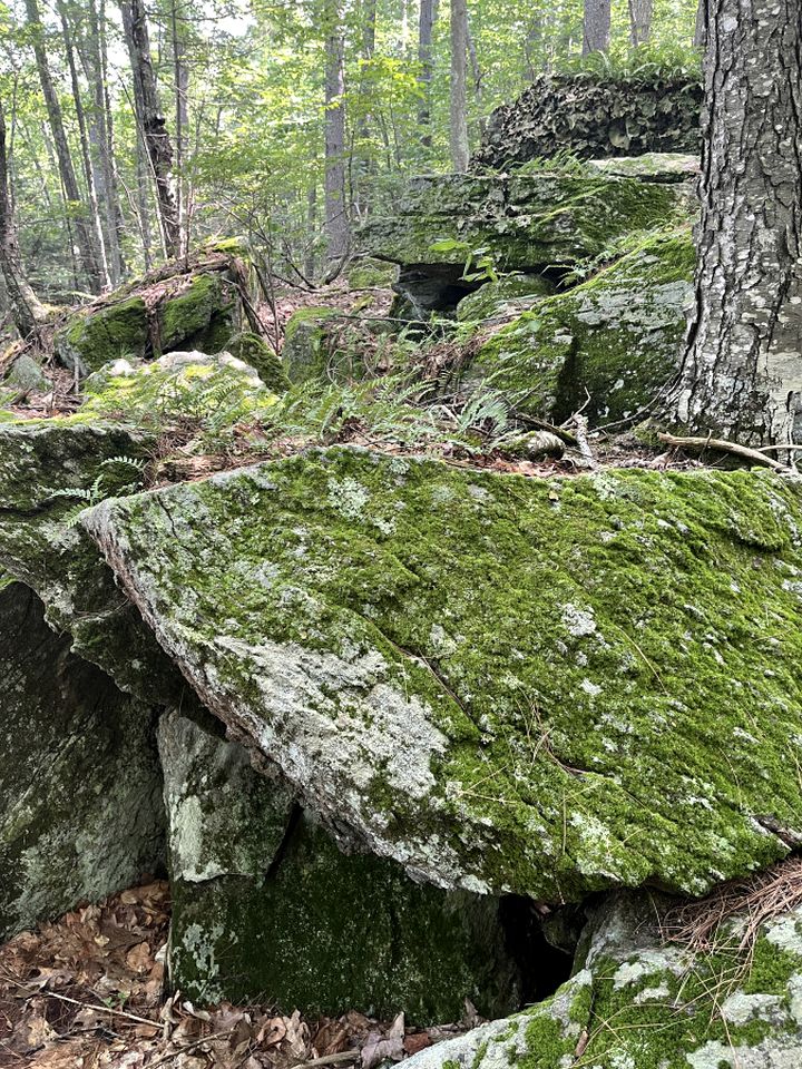 Luxury Year-round Treehouse in Sanford, ME