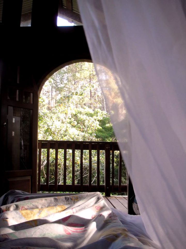 Forested Tree House on Permaculture Farm near Coyote Beach, Costa Rica