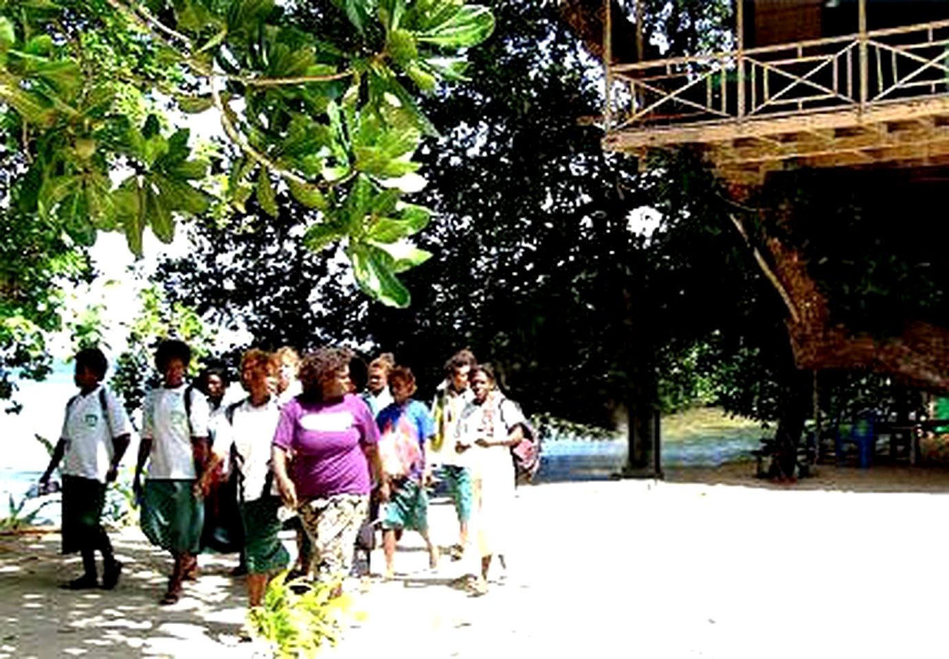 Tree House Surrounded by Tropical Flora and Fauna, New Guinea