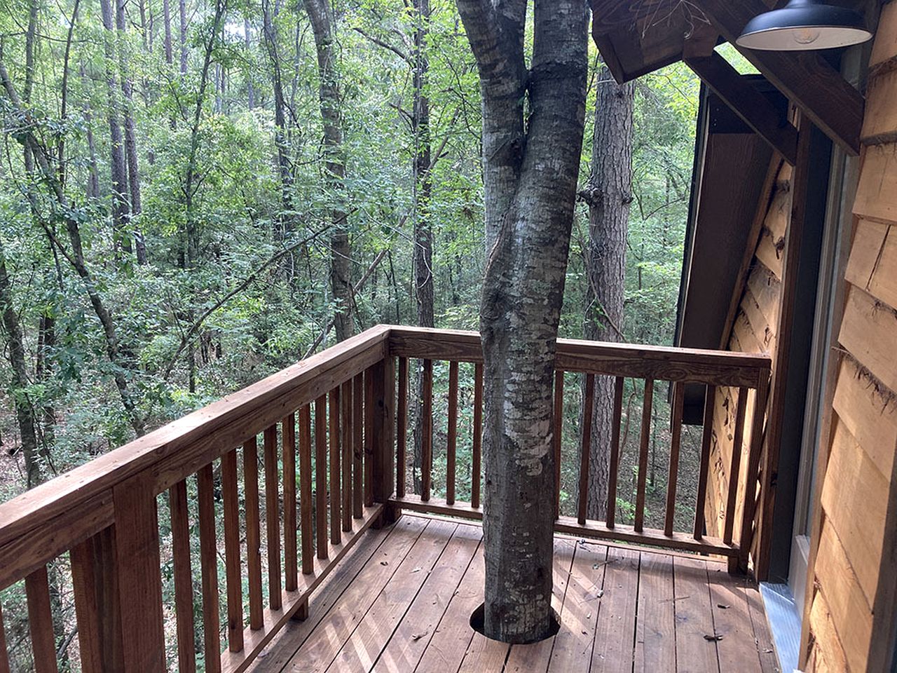 Cozy Tree House with Beautiful Modern Interior in Livingston, Texas