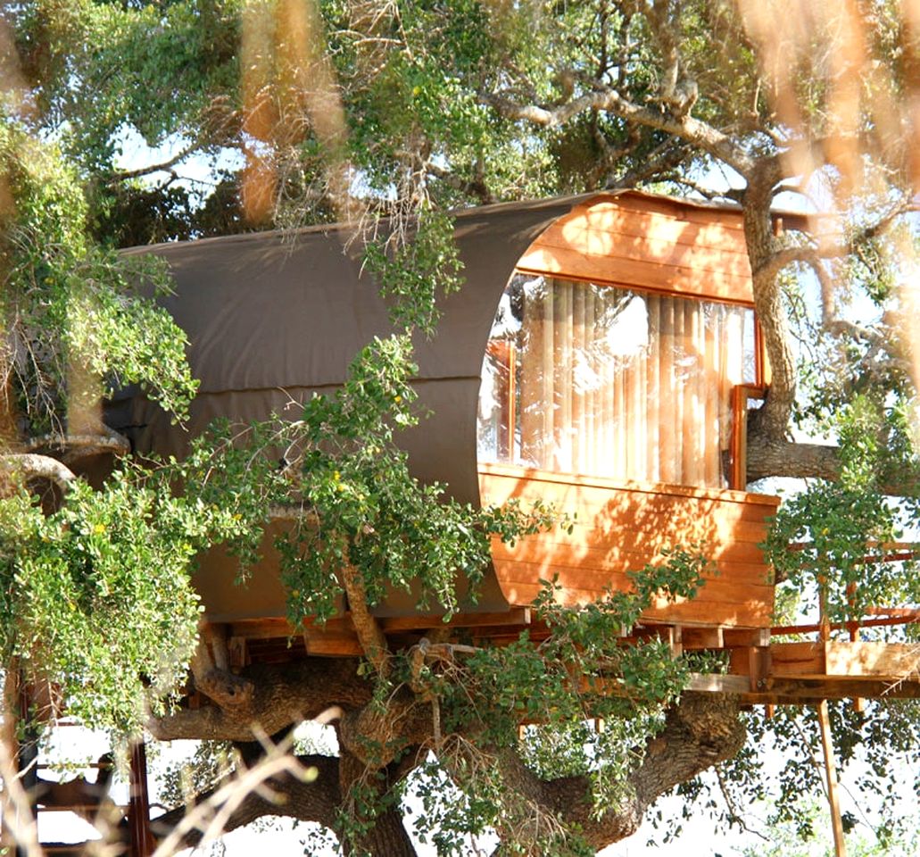 Luxury Treehouse Cabin Retreat Surrounded by Green Forest near Kirinda, Sri Lanka