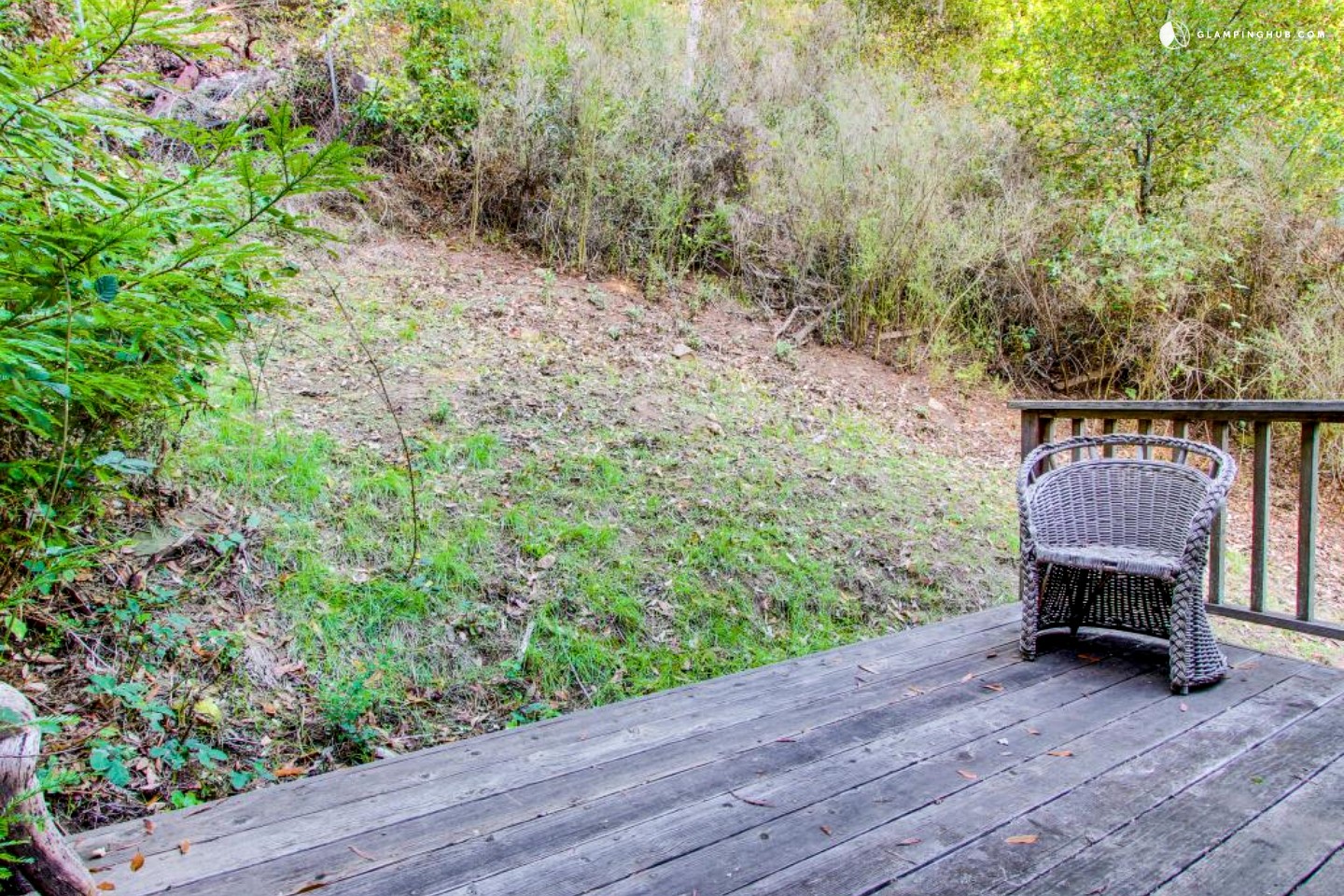 Unique Cabin near Santa Cruz, California